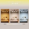 Edison Smart 3-Way Lighting Mini Ceiling Light TREO for Hooked