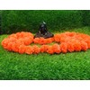 Artificial Flower Marigold Flower Garland 5 String Party Genda phool