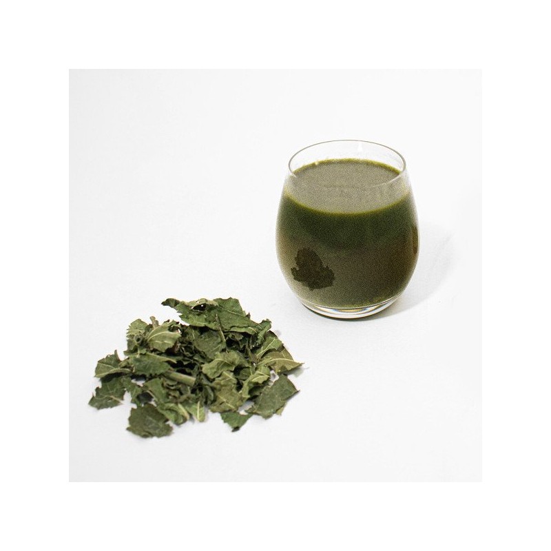 뽕잎 분말 220g Mulberry Leaf Powder 220g