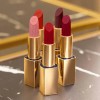Este Lauder Pure Color Envy Lipstick Matte Color Thrill Me