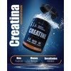 Creatina Monohidratada Micronizada en polvo sin sabor 300G Alta Pureza