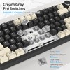 SbocKeeb 75% Wireless Creamy Mechanical Keyboard, Hot Swappable Custom Keyboard,