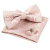 Alizeal Mens Gradient Paisley Bow Tie Pre Tied Pocket Square