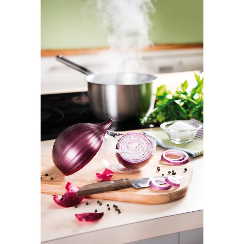 Snips Saver, Food Storage Container, Onion Keeper-12 x 10 x