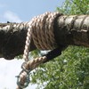 Tree Swing Conversion Ropes Complete Kit with Galvanised Steel Fixings