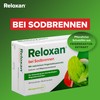 Reloxan Minze, 48 Stück