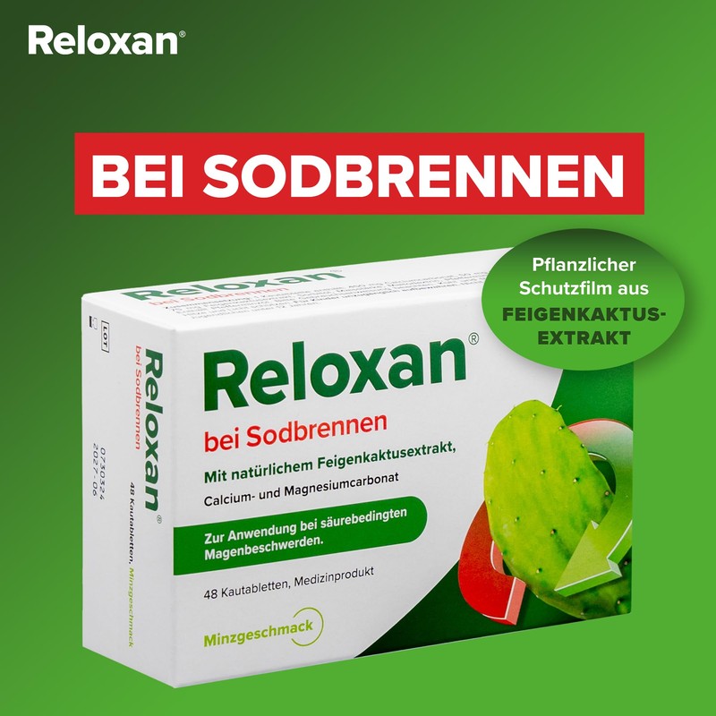 Reloxan Minze, 48 Stück
