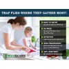 MaxGuard Window Fly Traps - Capture & Kill Insects Effortlessly