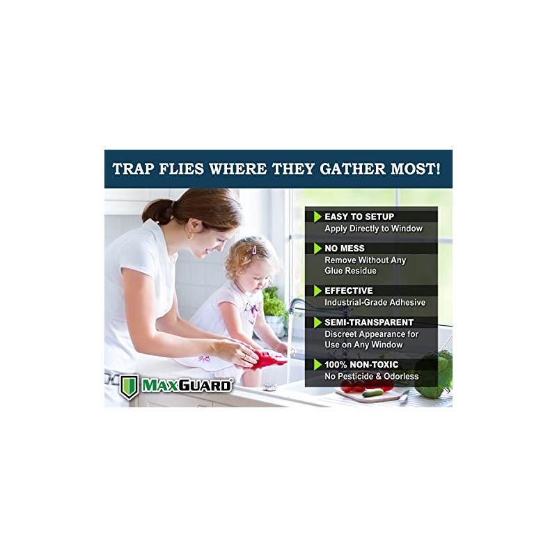 MaxGuard Window Fly Traps - Capture & Kill Insects Effortlessly