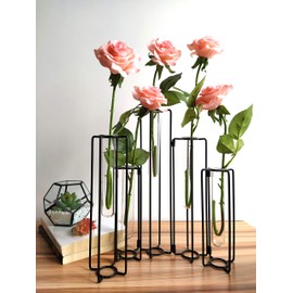 HelloHome Hinged Flower Vase, Black Metal Frame Vase with 5 Test Tubes, Propagation Station Plant Holder, Home Decor, Balcony