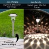 Morvat LED Stainless Steel & Glass Landscape Yard Pathway Solar