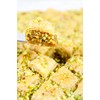 Setton Farms Naturally Raw Shelled Pistachios, No Shell, Non-GMO Project