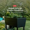 Keter Urban Bloomer 12.7 Gallon Raised Garden Bed and Outdoor