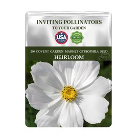 Babys Breath Seeds Pack - Beautiful Garden Flowers Seeds