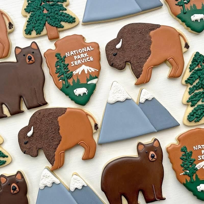 Buffalo 4 Inch Cookie Cutter from The Cookie Cutter Shop