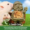 TEEWY Santa Claus Guinea Pig Toys, Natural Vegetables, Fruits and