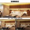 Tatazone 32.8ft 3000K Bright COB LED Strip Light, Dimmable, Warm