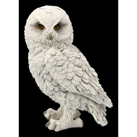 Figuren Shop GmbH Snow Owls Animal Figure - Snowy Watch Medium Bird Figurine, Decorative Figure, Decorative Article, Statue, Sculpture, W 13 cm