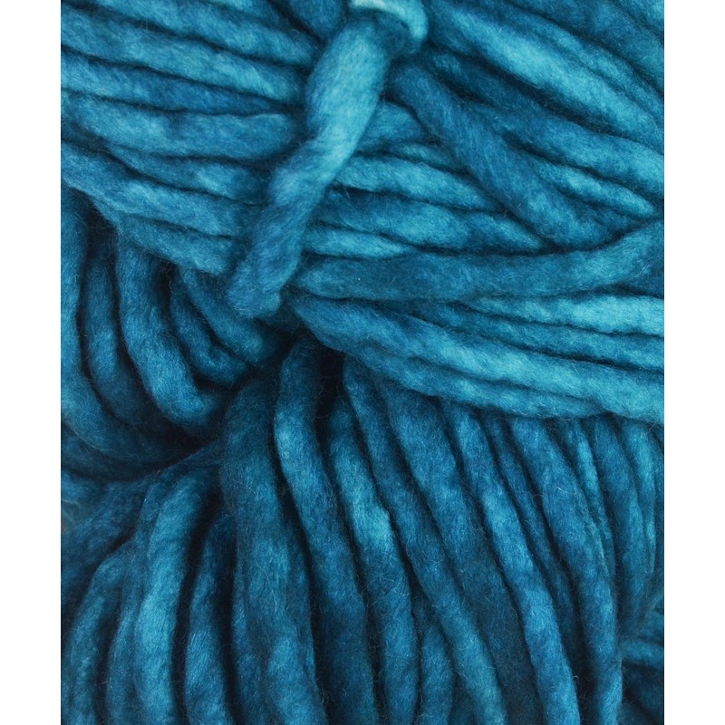 Malabrigo Rasta 005 Aniversario