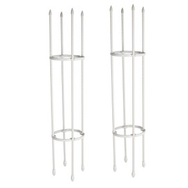 2 Sets Vines Climbing Support Balcony Outdoor Steel Pipe Plant Flower Vegetable Climber Frame