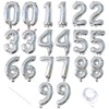 20 Pieces 2 Sets of 16 Inch Silver Number 0-9
