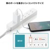 Sanwa Supply ACA-IP87W USB Charger USB A x 1 Port