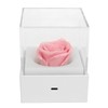 Rose Night Light Romantic Small USB Charging Soft Brightness Decoration