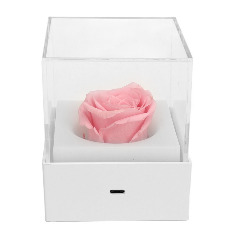 Rose Night Light Romantic Small USB Charging Soft Brightness Decoration