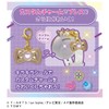 Secret iPri Secret Eye Preserve DX Set, Princess Model