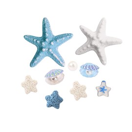 Hangood Shoe Charms Starfish Decoration Decorative Shoes Accessories Set of 9pcs