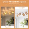 AIBISOD 4-Pack H Track Lighting Heads, Rattan Track Light Heads