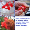 Weilan 50 Pieces Pinless Peepers for Chicken Peepers Eye Glasses