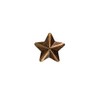 1 Star 3/16" Bronze Ribbon Device