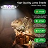 LED UVB Light for Reptiles, 8W UVA UVB Lamp –