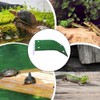 Turtle Docks for Basking | Aquatic Turtles Basking Land for