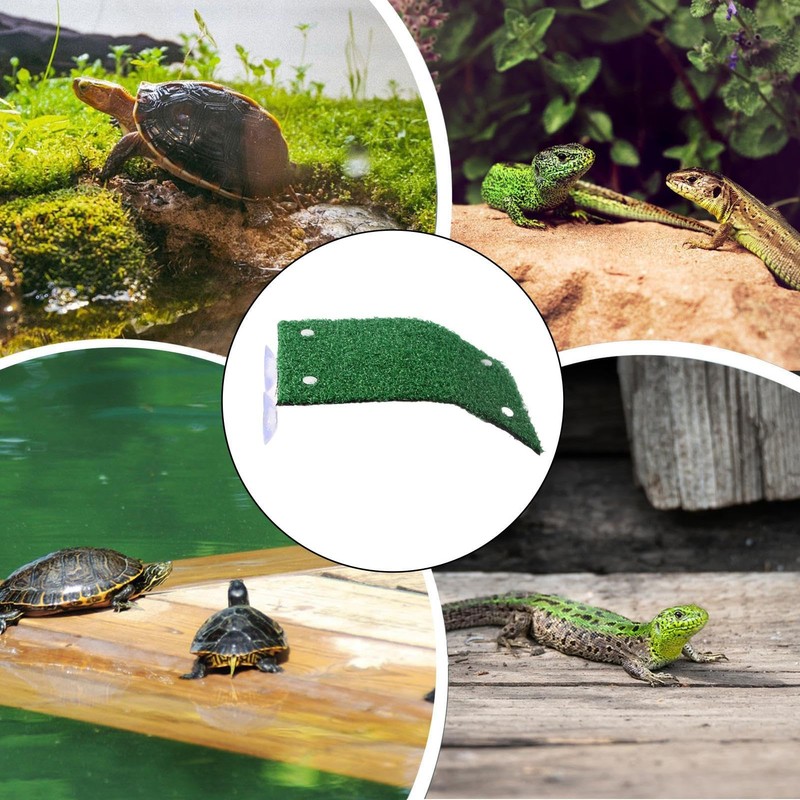 Turtle Docks for Basking | Aquatic Turtles Basking Land for