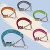 Martingale Collar for Dogs - Heavy Duty No Pull Dog