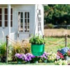 Melphoe 2 Pack Self Watering Hanging Planters Indoor Flower Pots,