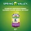 Spring Valley, Vitamin B12, Vitamin B12 Gummies, Vegetarian Gummies, Raspberry