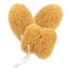 piezas de esponja de baño, esponjas marinas naturales para ducha,