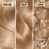 Garnier Permanent Hair Colour, Nutrisse Blonde Lift, Blonde For Dark
