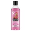 Alberto Balsam Sunkissed Raspberry Shampoo - 300ml - 24HR Fragrance