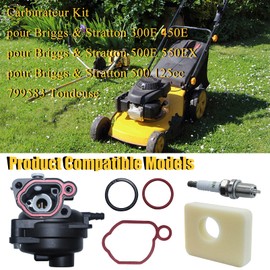 Haishine Carburettor Kit for 300E 450E 500E 550EX 500 125cc 140cc 799583 595656 591979 with Air Filter/Spark Plug Lawn Mower Engine