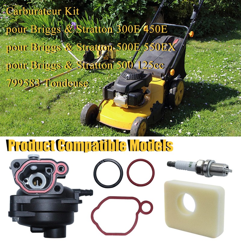 Haishine Carburettor Kit for 300E 450E 500E 550EX 500 125cc