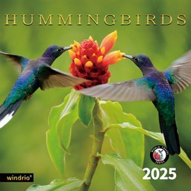 2024 2025 Wall Calendar, 18 Months July 2024 - December 2025, Wall Calendar Hummingbirds, 12" x 24" Opened,Full Page Months Thick & Sturdy Paper for Gift Kids Teen Calendar Organizing & Planning