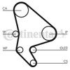Contitech Timing Belt CT986