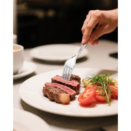 YOUBET 50PCS Silver Plastic Forks - Heavy Duty Plastic Forks - Solid Durable Silver Disposable Silverware for Party Picnic Wedding and Daily Use