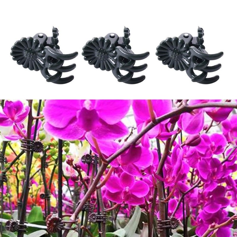 Kopida 50Pcs Plant Climbing Wall Fixture Clips, Plant Fixer Invisible