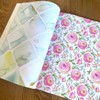 Daphne's Diary Scrapbook I | 50 Pages with 100 Beautiful