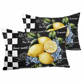 Lemon Outdoor Waterproof Throw Pillow Covers 20 x 12 Inch Set of 2, Retro Country Black and White Buffalo Plaid Pillowcases Decorative Square Cushion Cases for Patio Furniture Couch Porch Garden